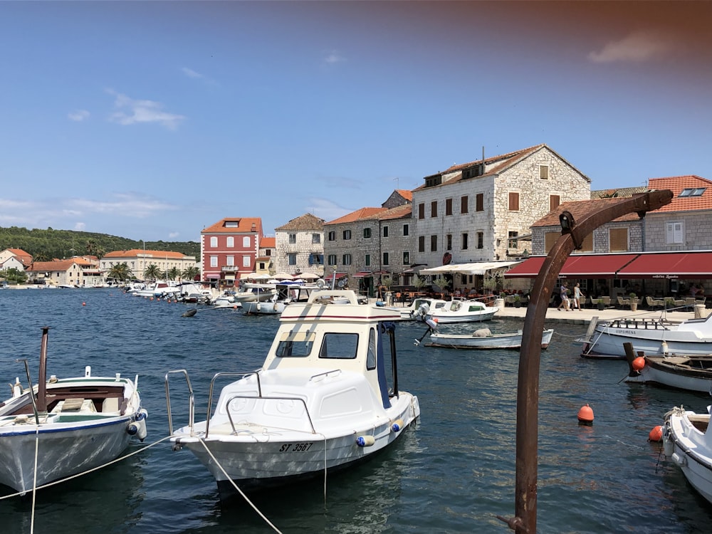 white boats on body of water