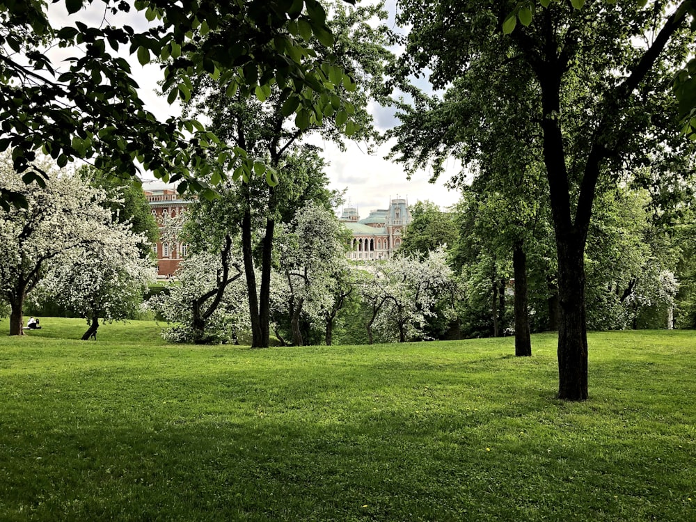 green open field surrounded with tall and green trees near building