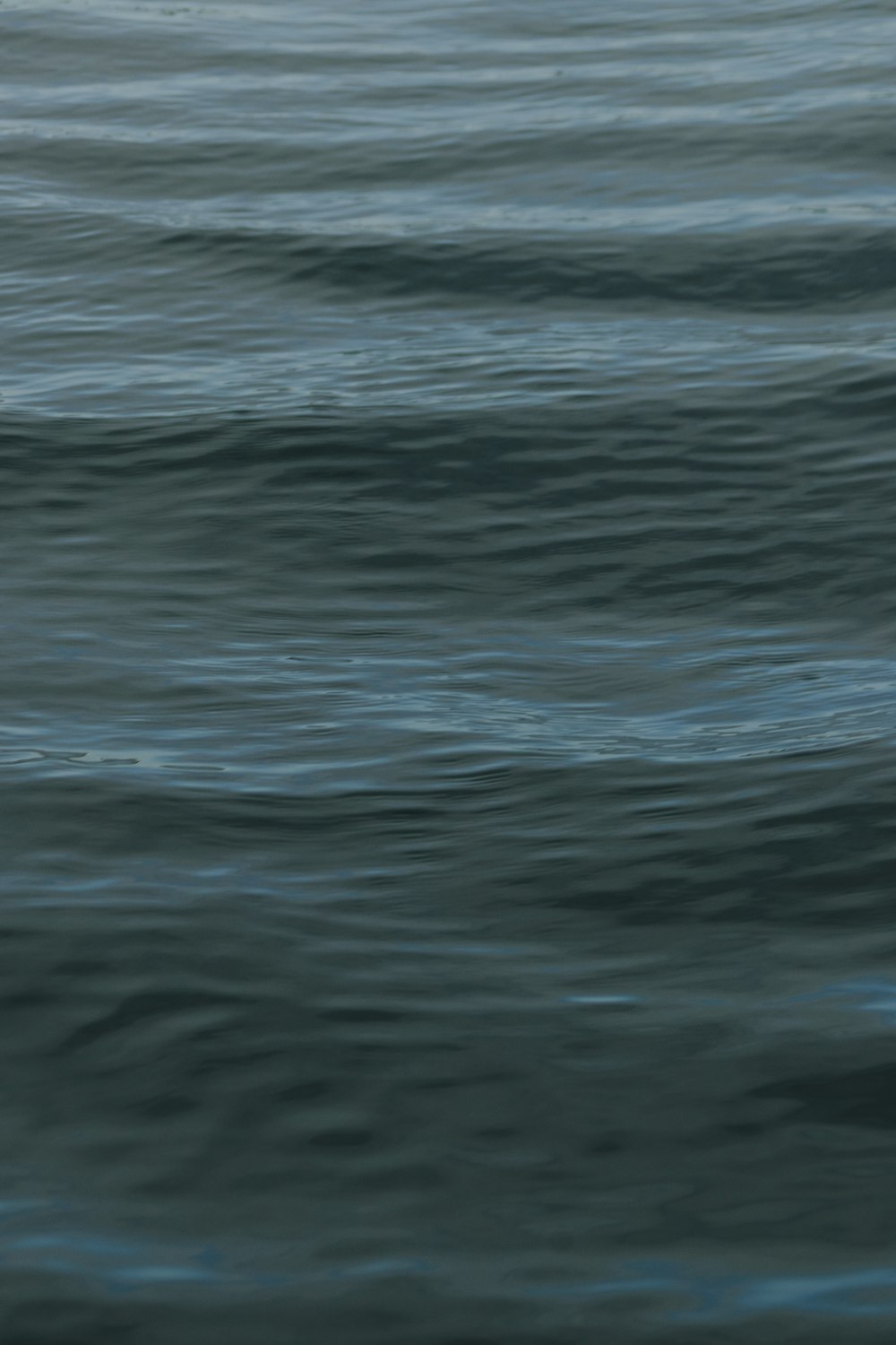 wavy body of water during daytime