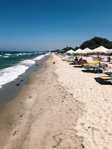 A sandy beach stretches into the distance with waves gently crashing onto the shore. People are lounging on sunbeds under wide umbrellas, enjoying the sunny weather. Greenery lines the edge of the beach, and the sky is clear and blue.