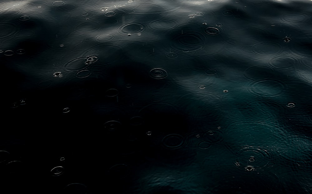 a view of a body of water from a boat