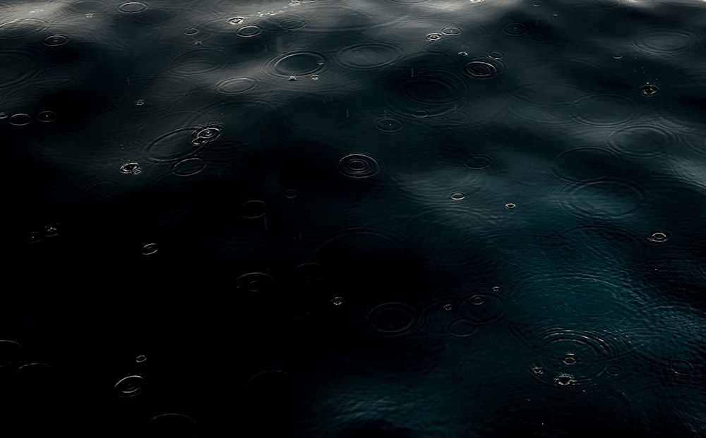 Una vista de un cuerpo de agua desde un barco