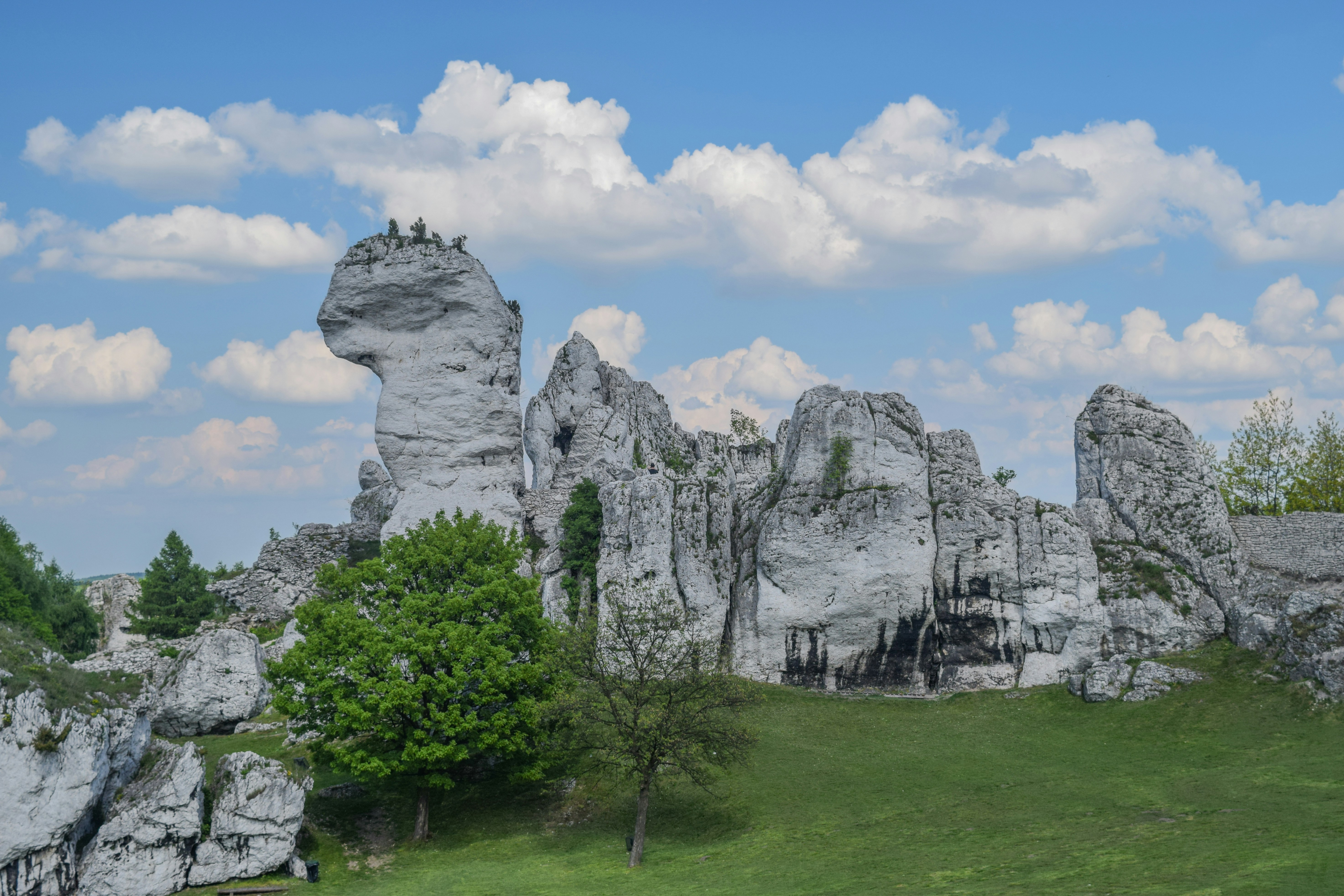 rock formation lot near trees during daytime