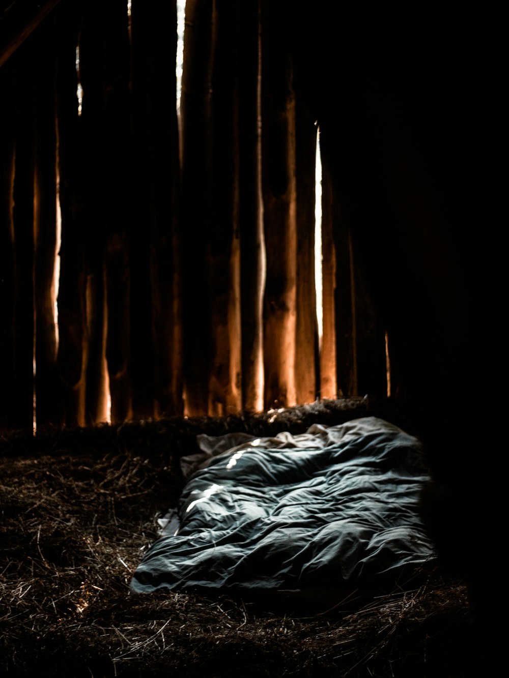 a sleeping bag in the dark of a bamboo forest