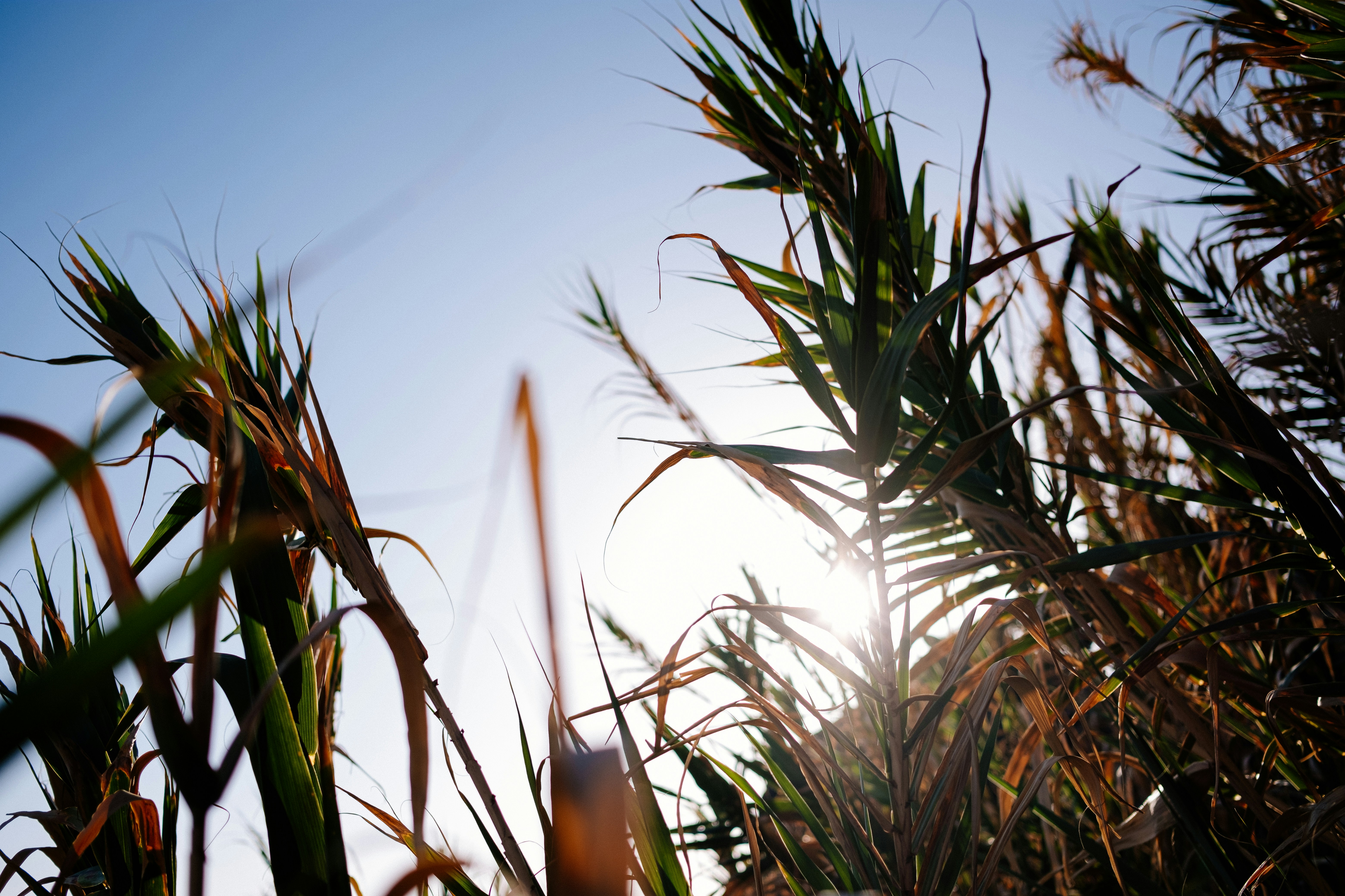 Photo by julianguttzeit