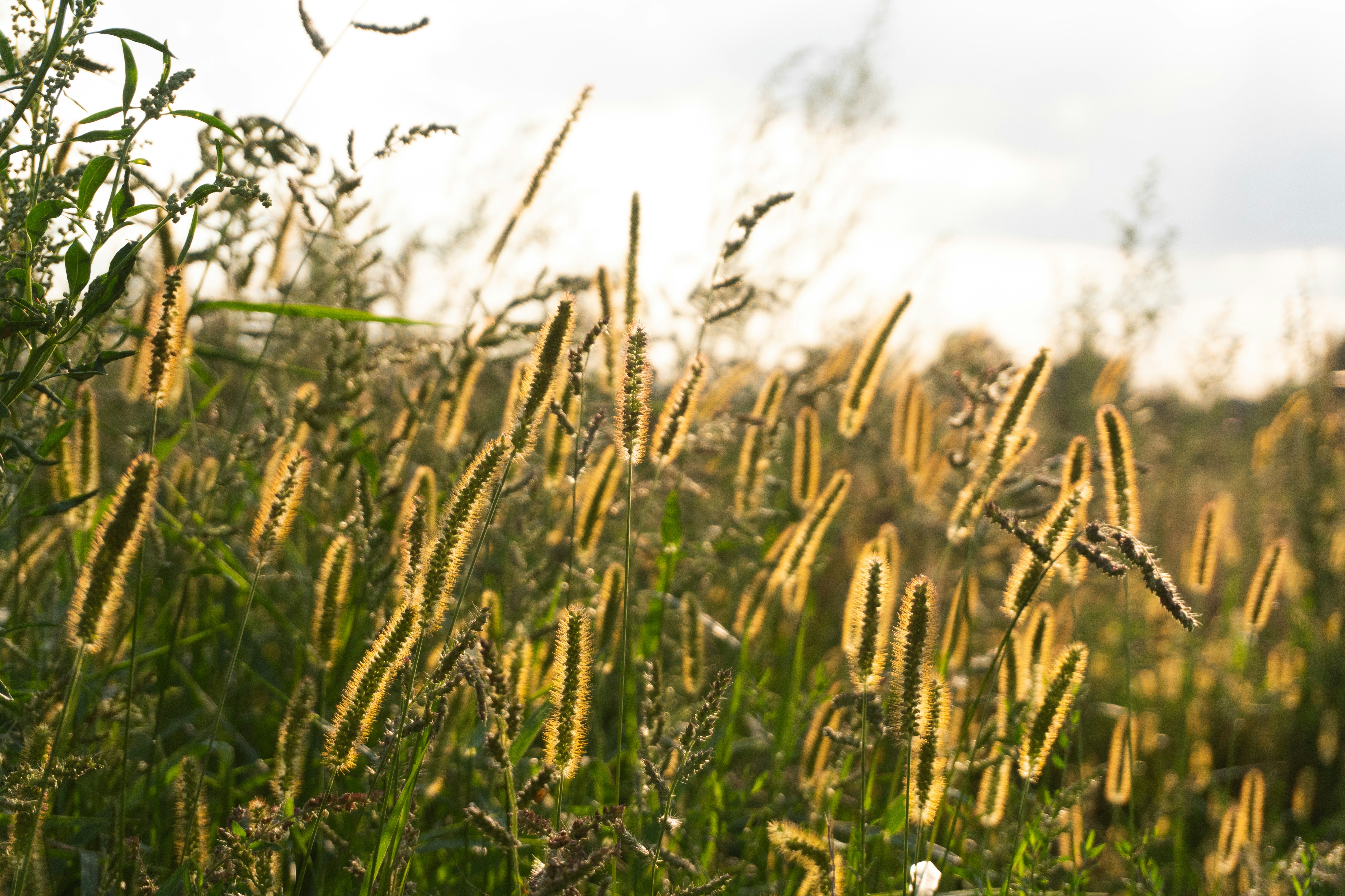 Photo by ivannavinni