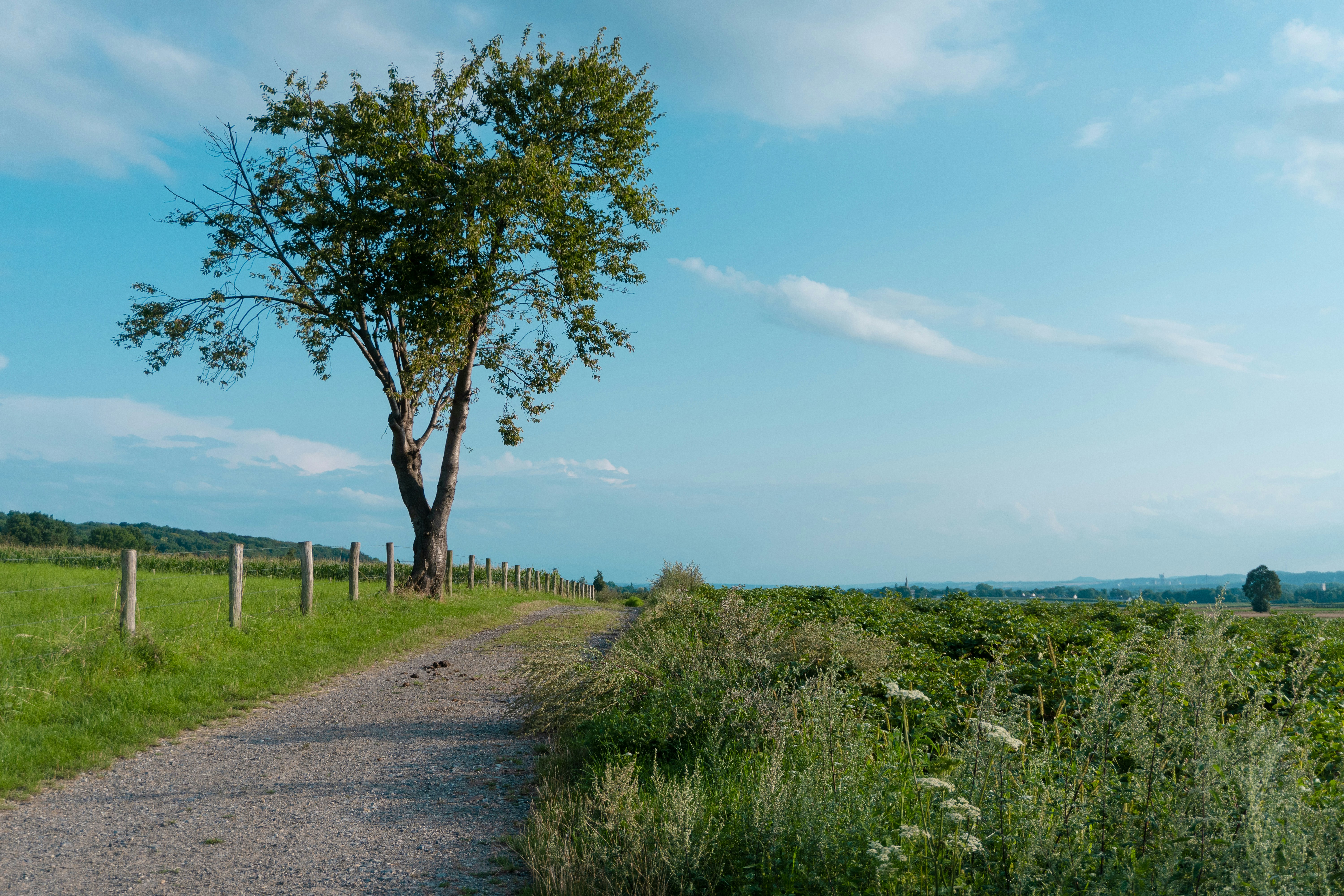 Photo by ivannavinni