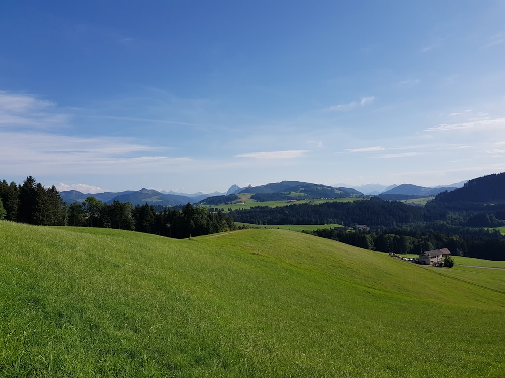 green grassy hill during daytime