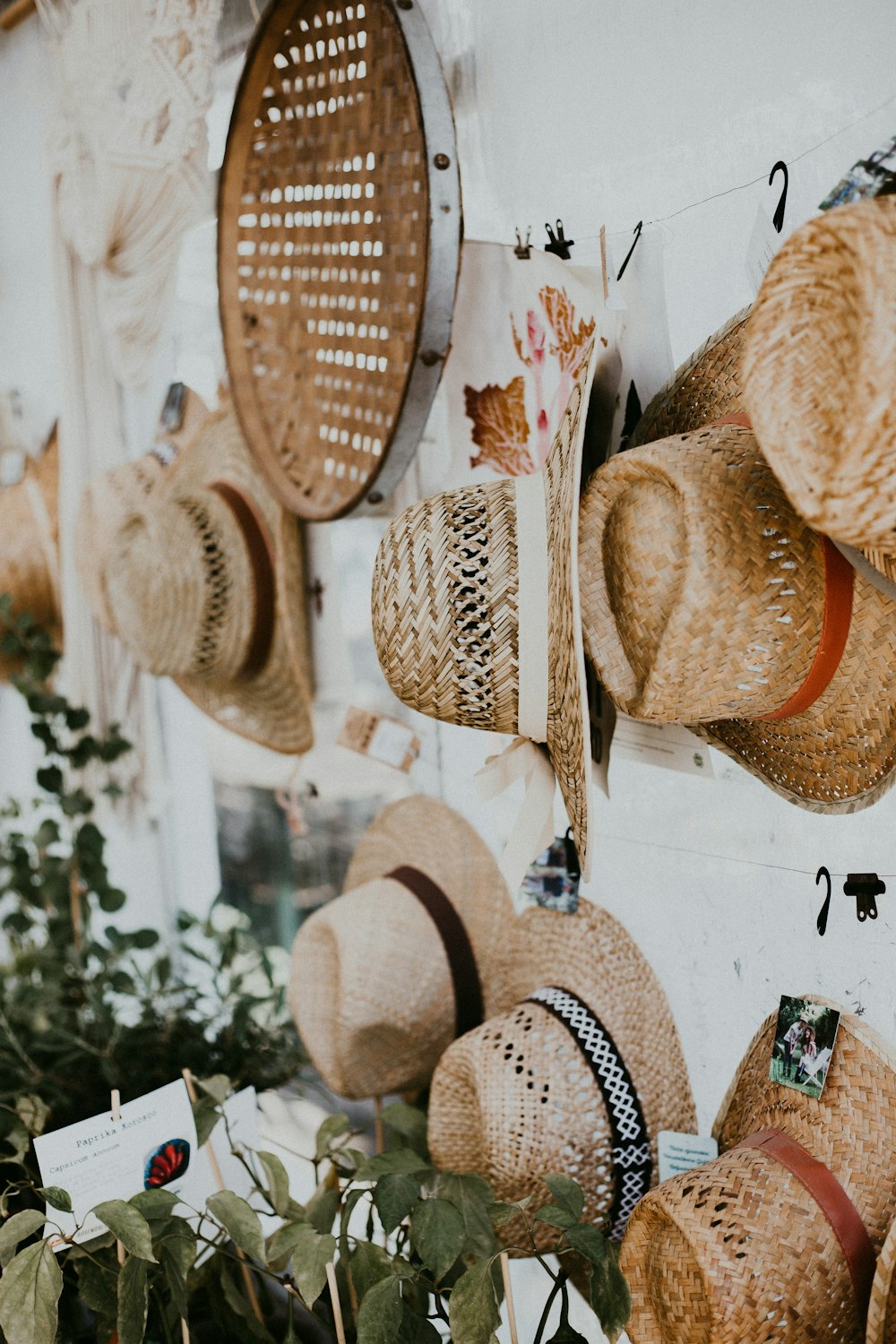 brown straw hat lot