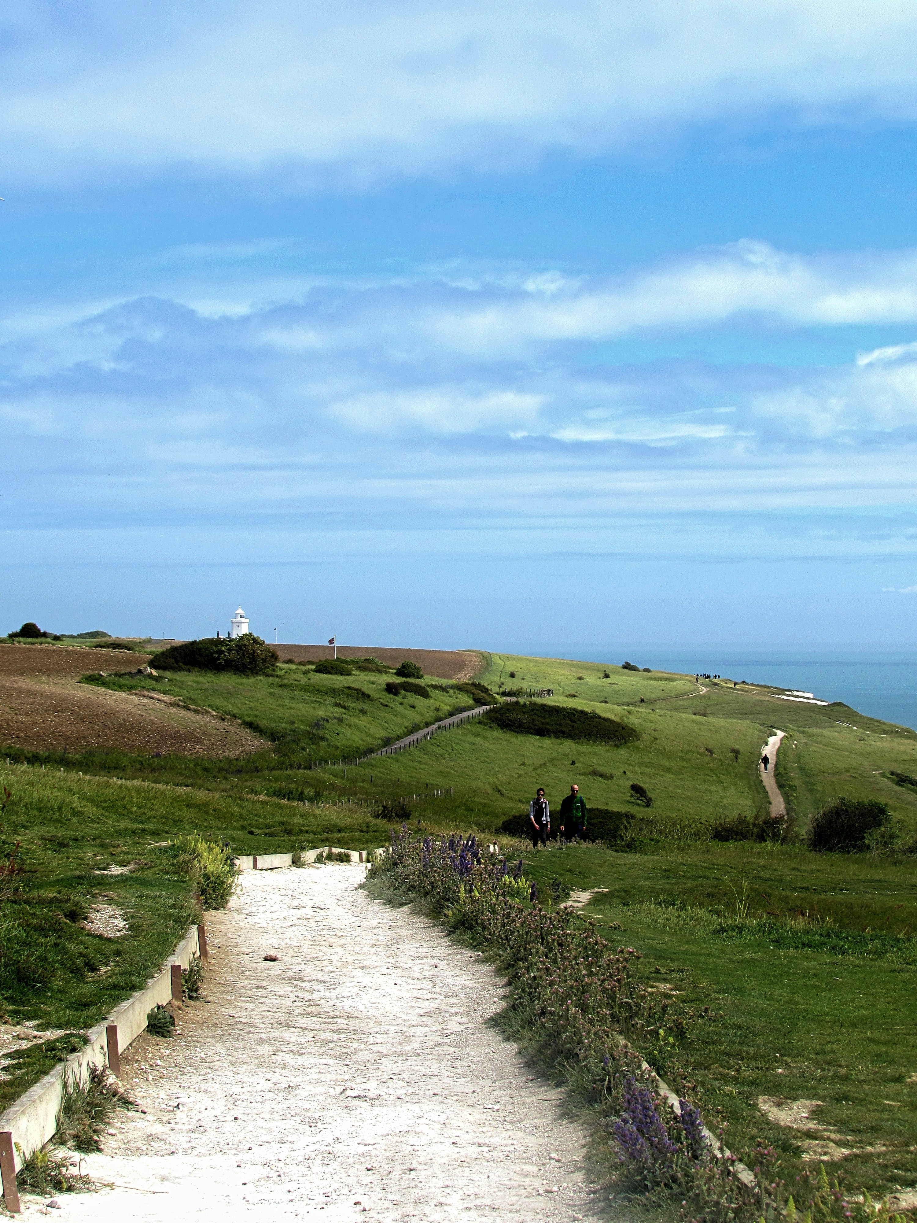 Dover | 1 best free dover photos on Unsplash