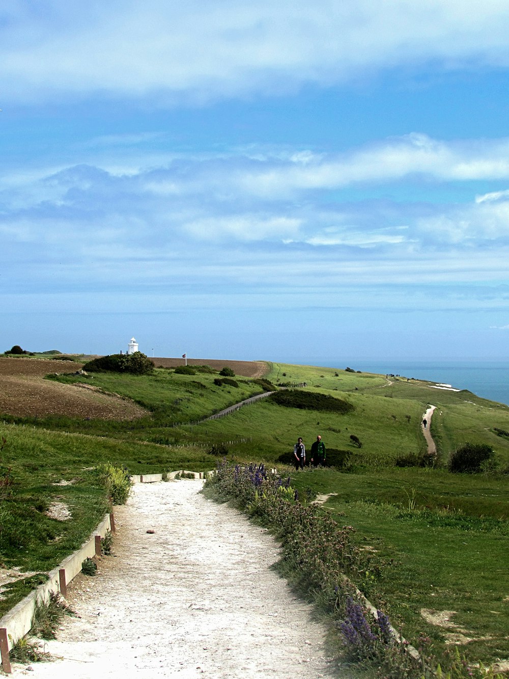 Dover | 1 best free dover photos on Unsplash