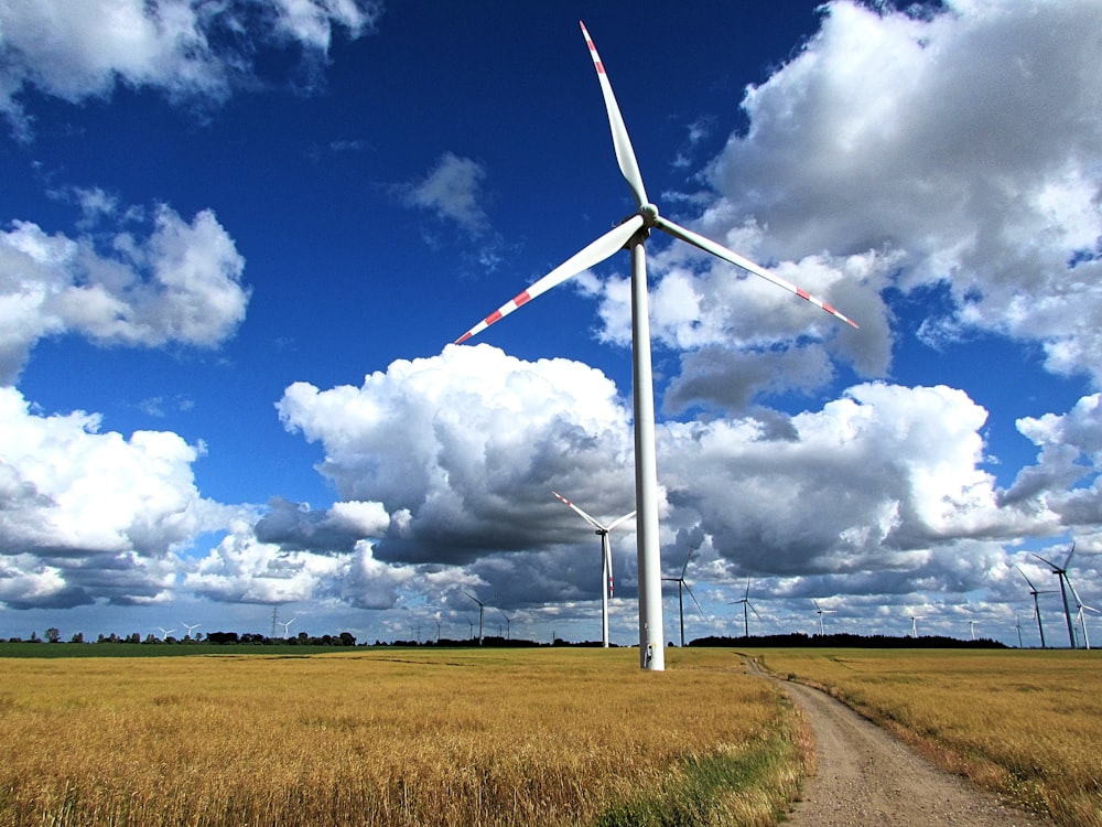 white windmills