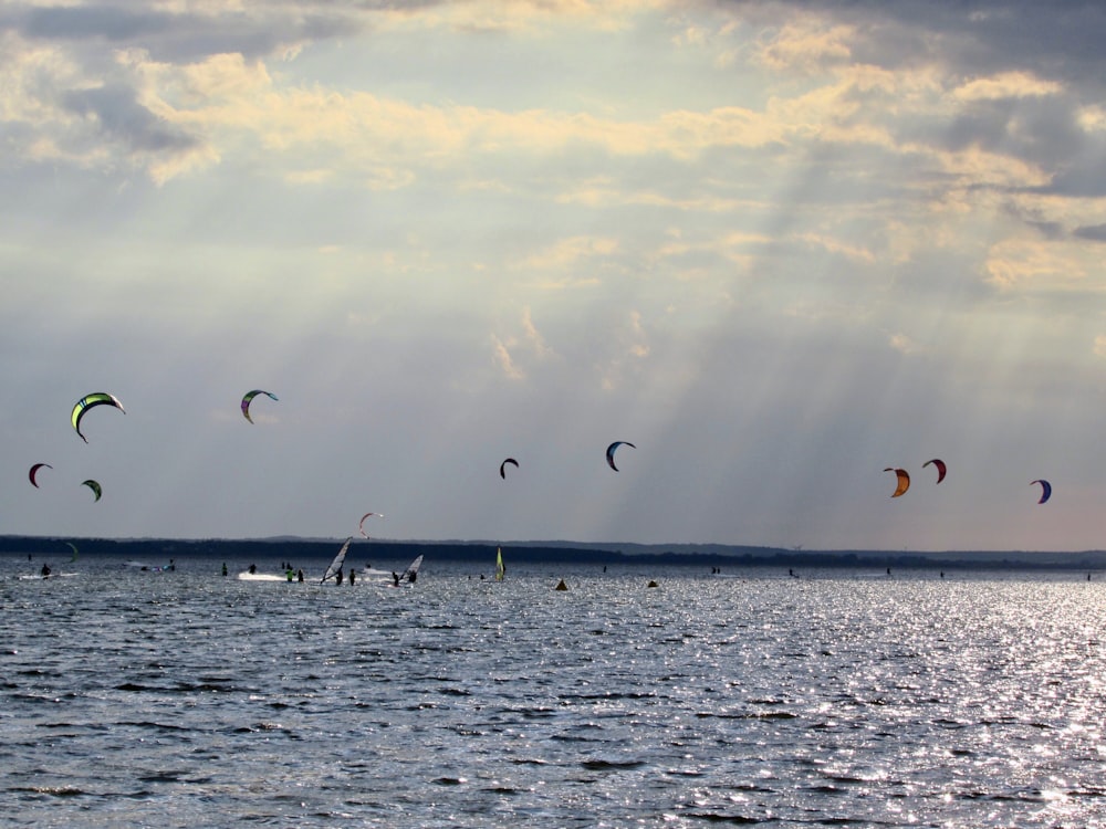 people paragliding