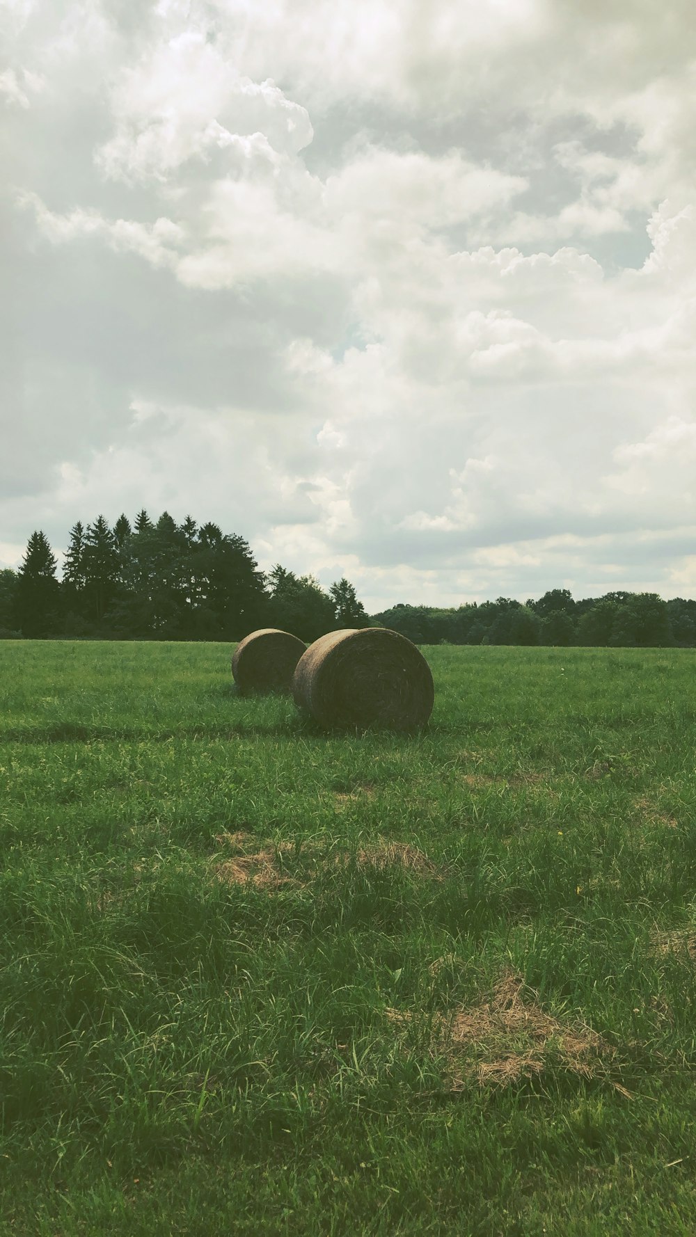 hay rolls on grass during day