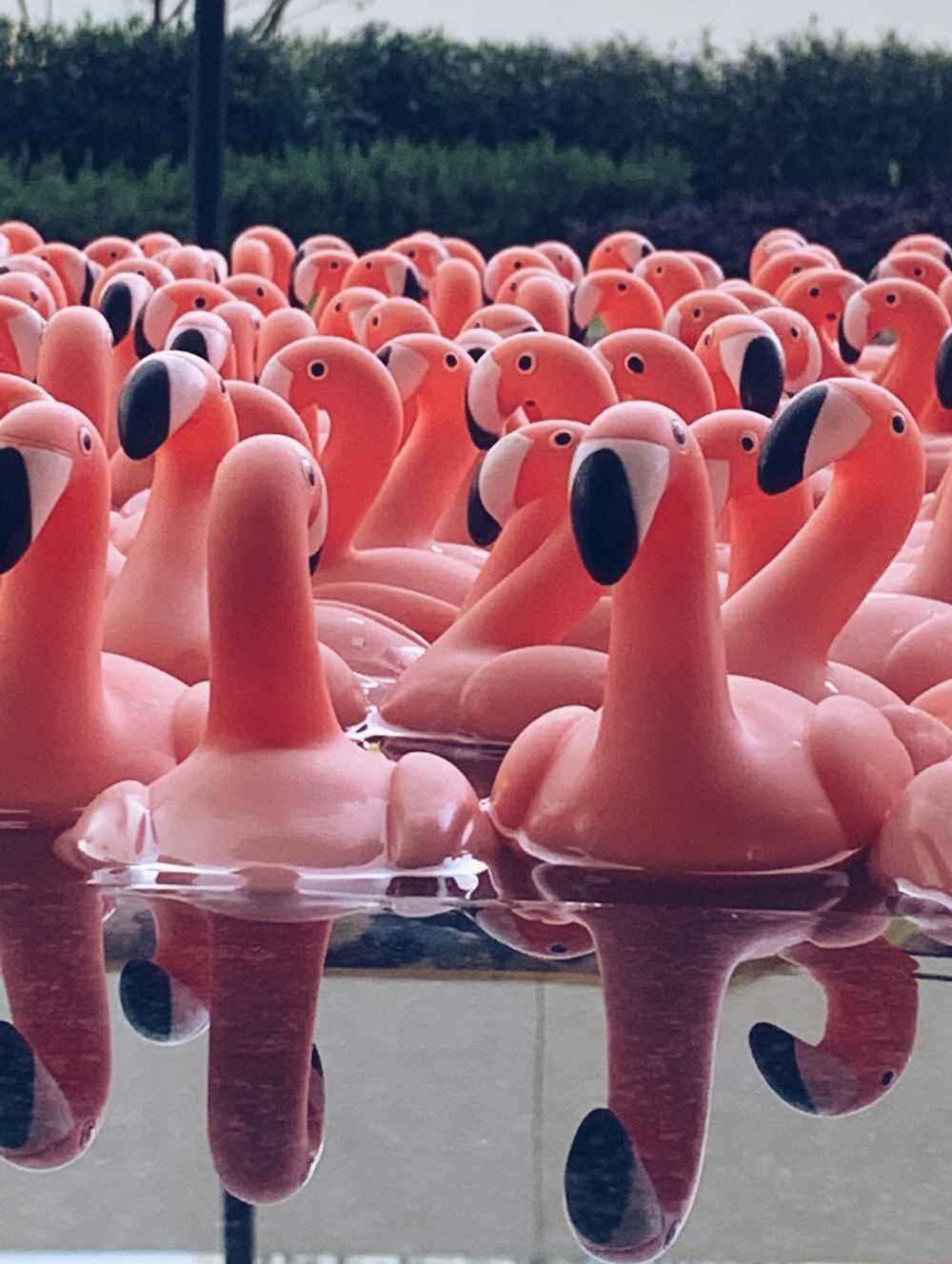 pink flamingo floaters lot on water