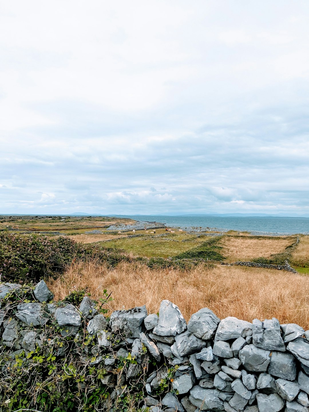 Ecoregion photo spot Unnamed Road Clifden