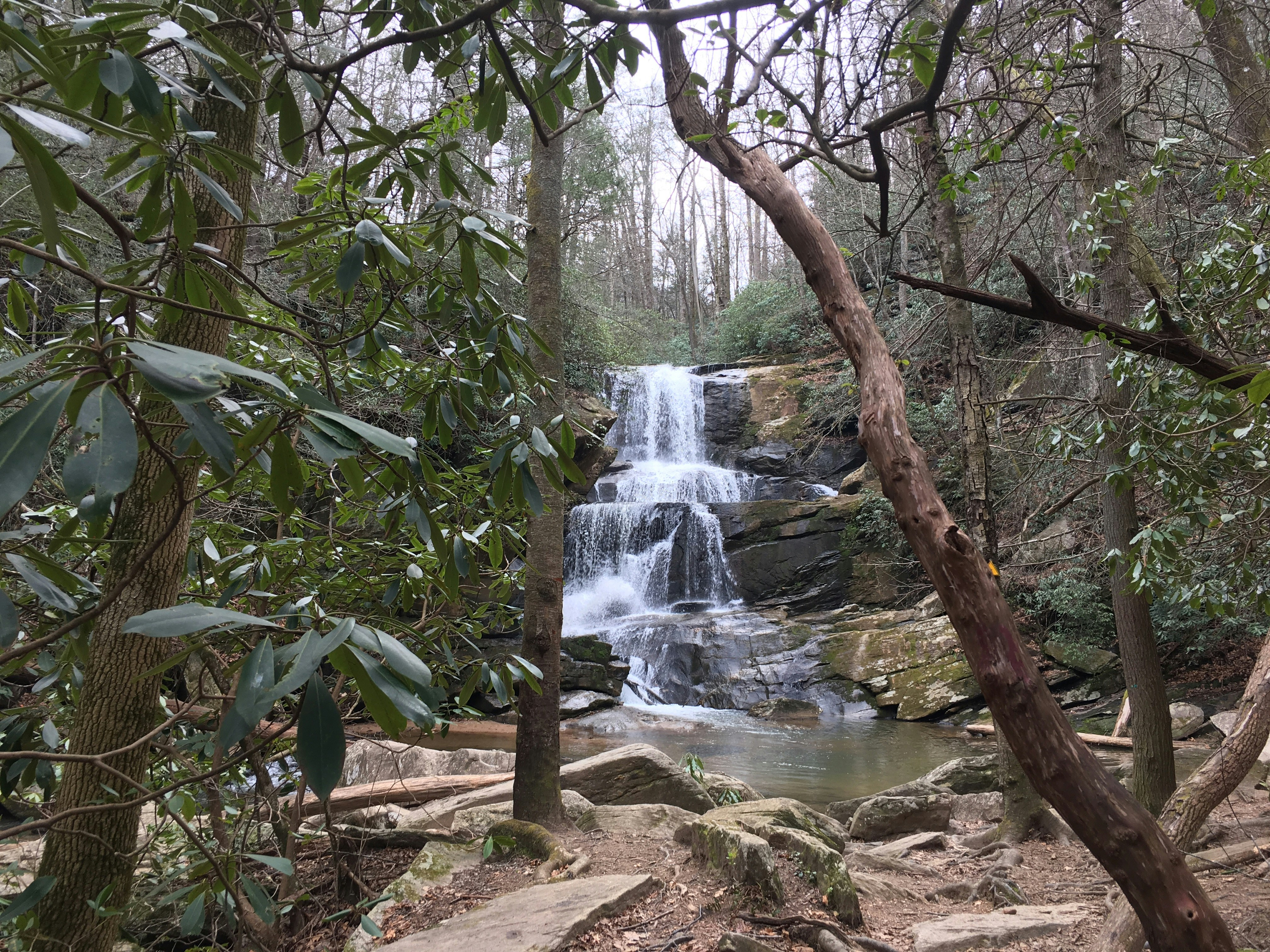 Photo by _dillongroves