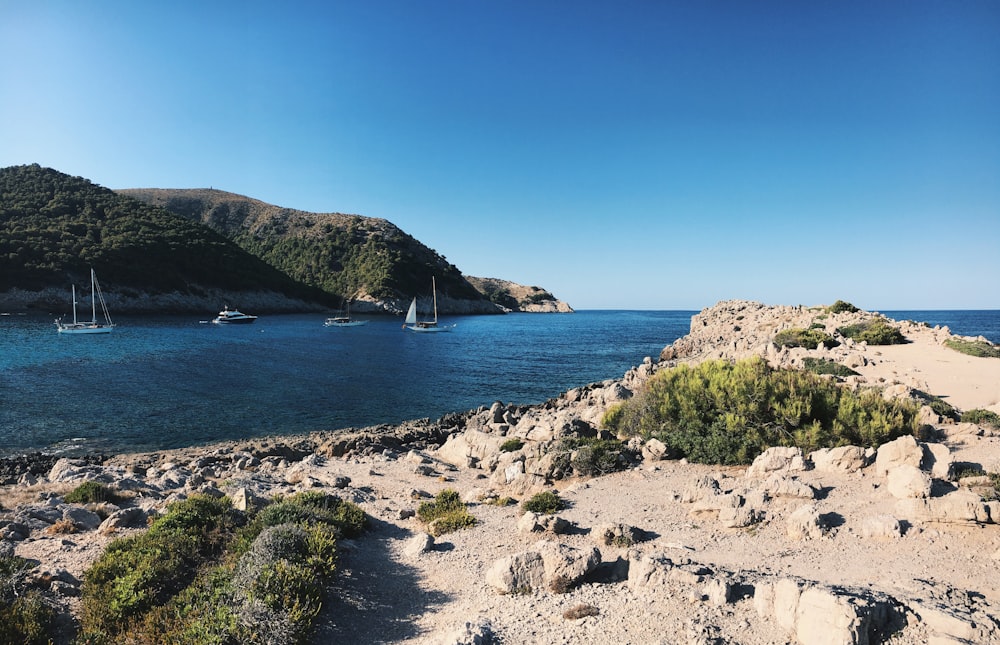 barcos no corpo de água durante o dia