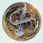 STS Servis Transport Spedycja logo