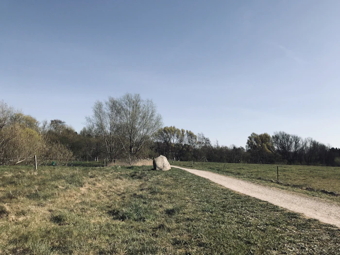 Walking Paths