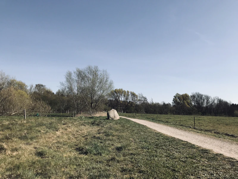 Best Walking Paths and Streets in Aalborg to Explore on Foot