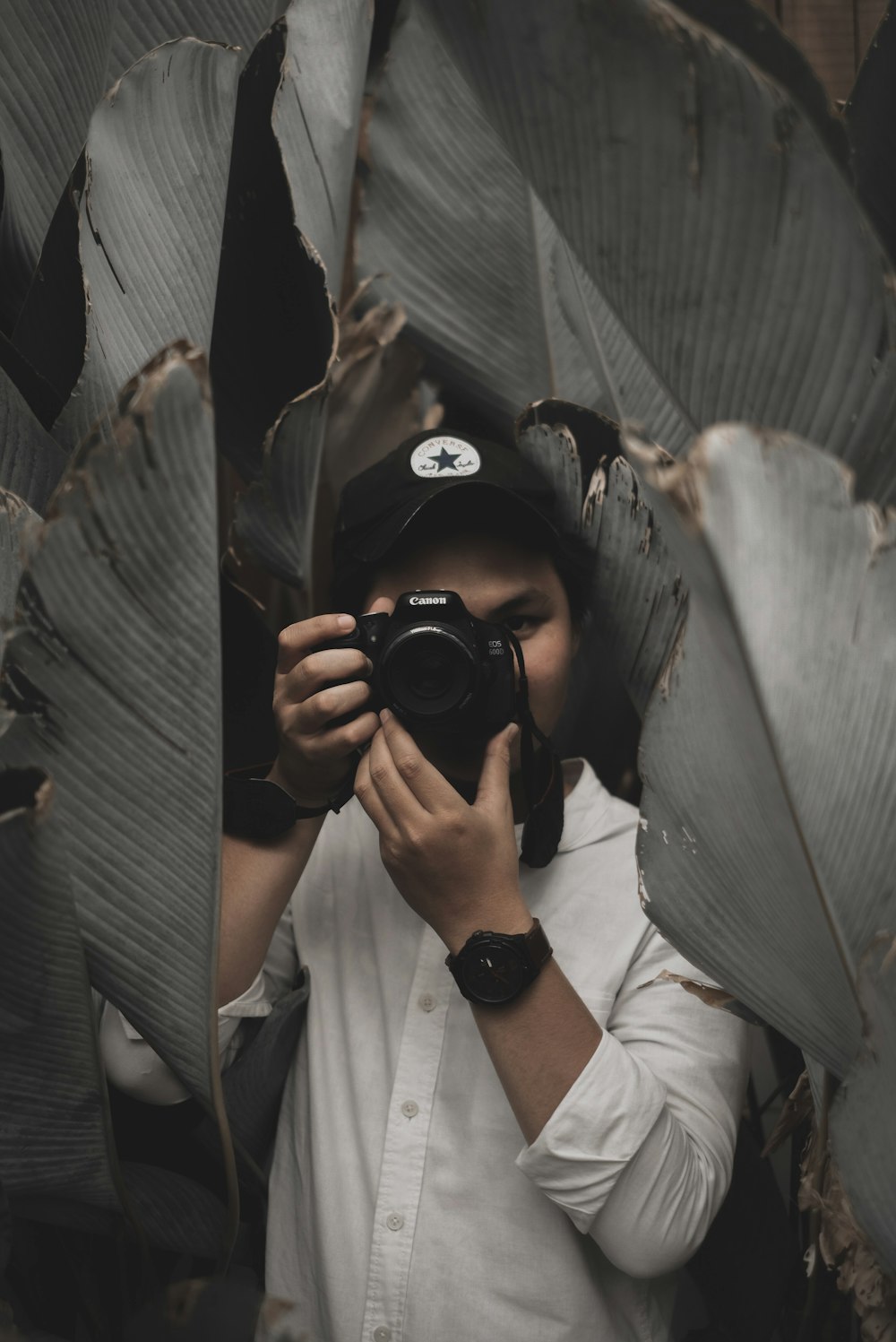 Person Holding Camera Photo Free Human Image On Unsplash