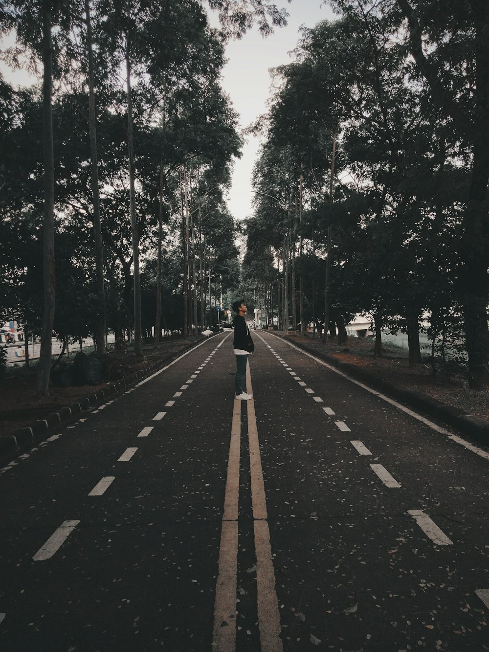 man standing between trees