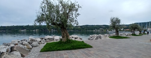 The peaceful lakeside path near Casa Angelo, lined with wildflowers and olive trees.
