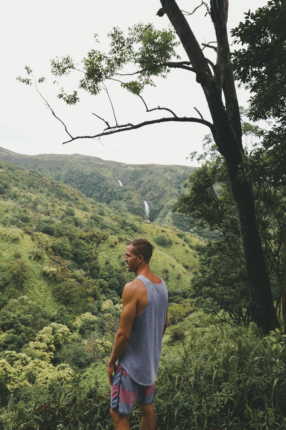 man standing beside tree