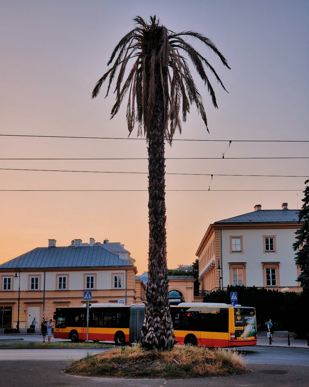 two yellow-and-red buses