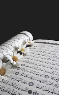 An open book with Arabic script is adorned with white daisies that are delicately placed along the center fold. The pages feature ornate decorative elements, enhancing the intricate text.