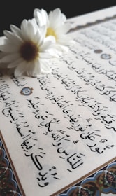 daisy flowers on paper