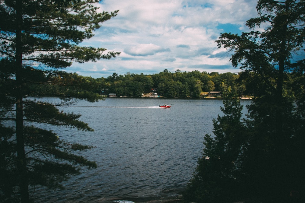 boats on water during daytime