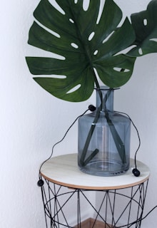 A minimalist cement vase with clean lines, showcasing a single green monstera leaf on a modern shelf.