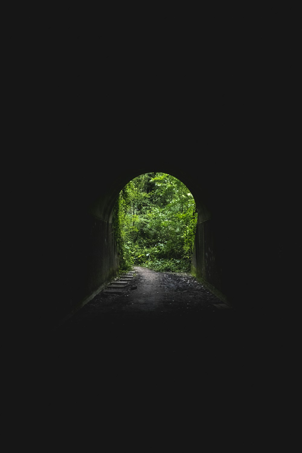 green-leafed tree outside tunnel