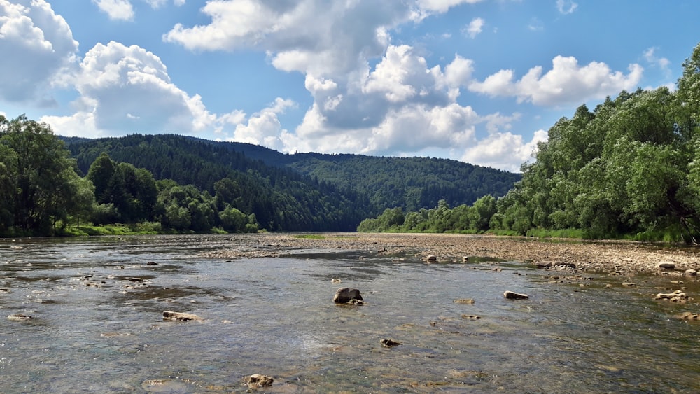 river during daytime