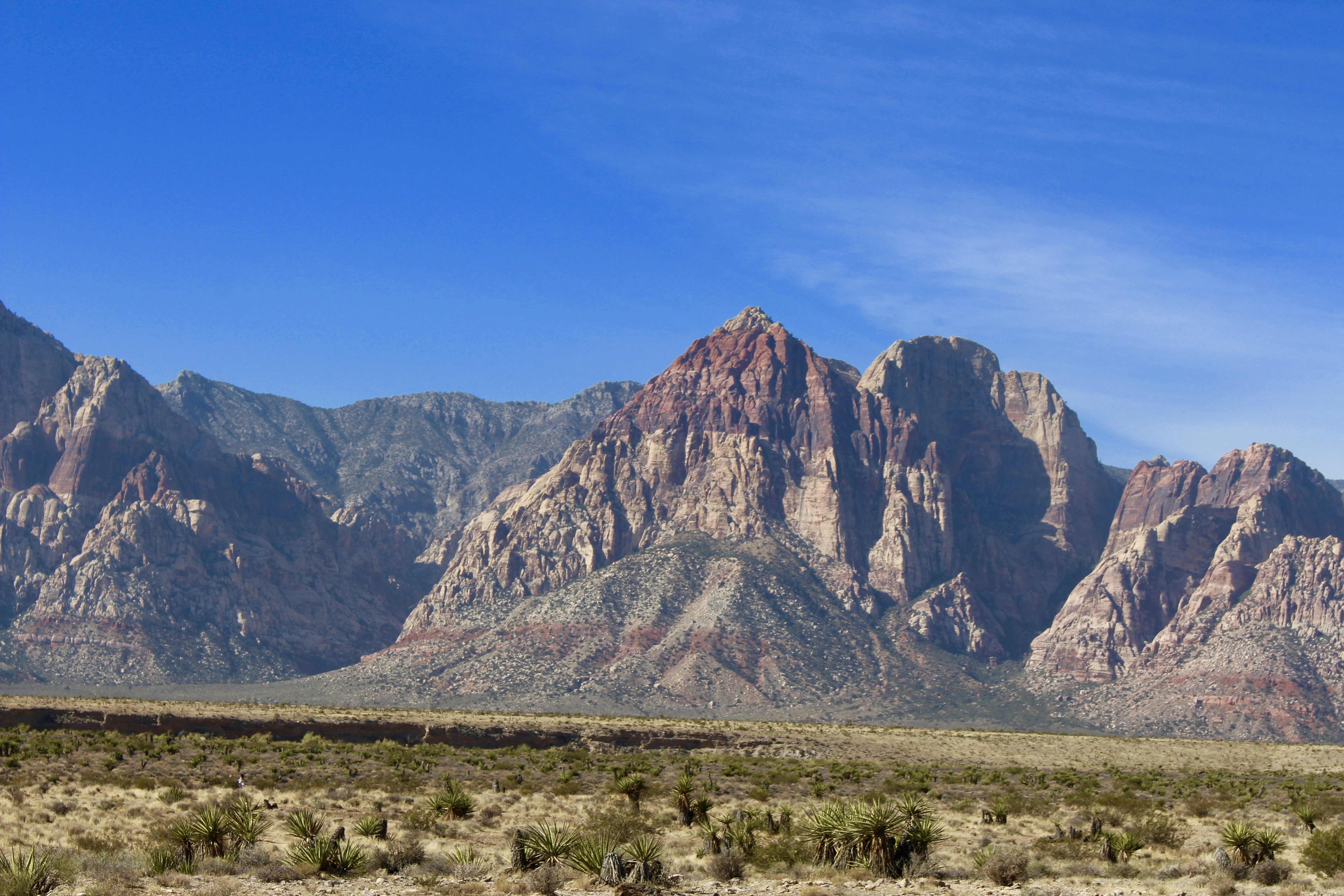 Photo by oncemorewithsinging