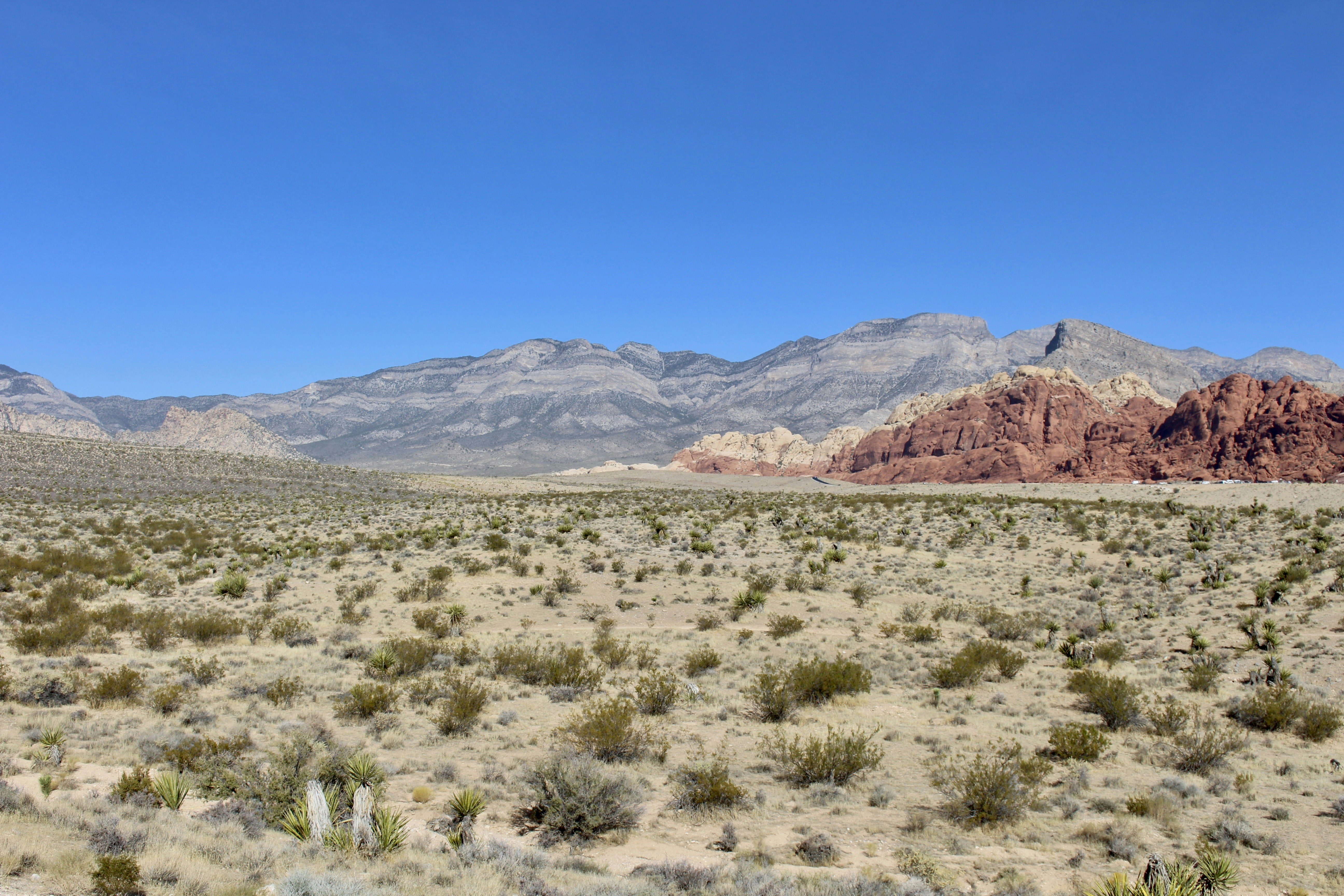 Photo by oncemorewithsinging