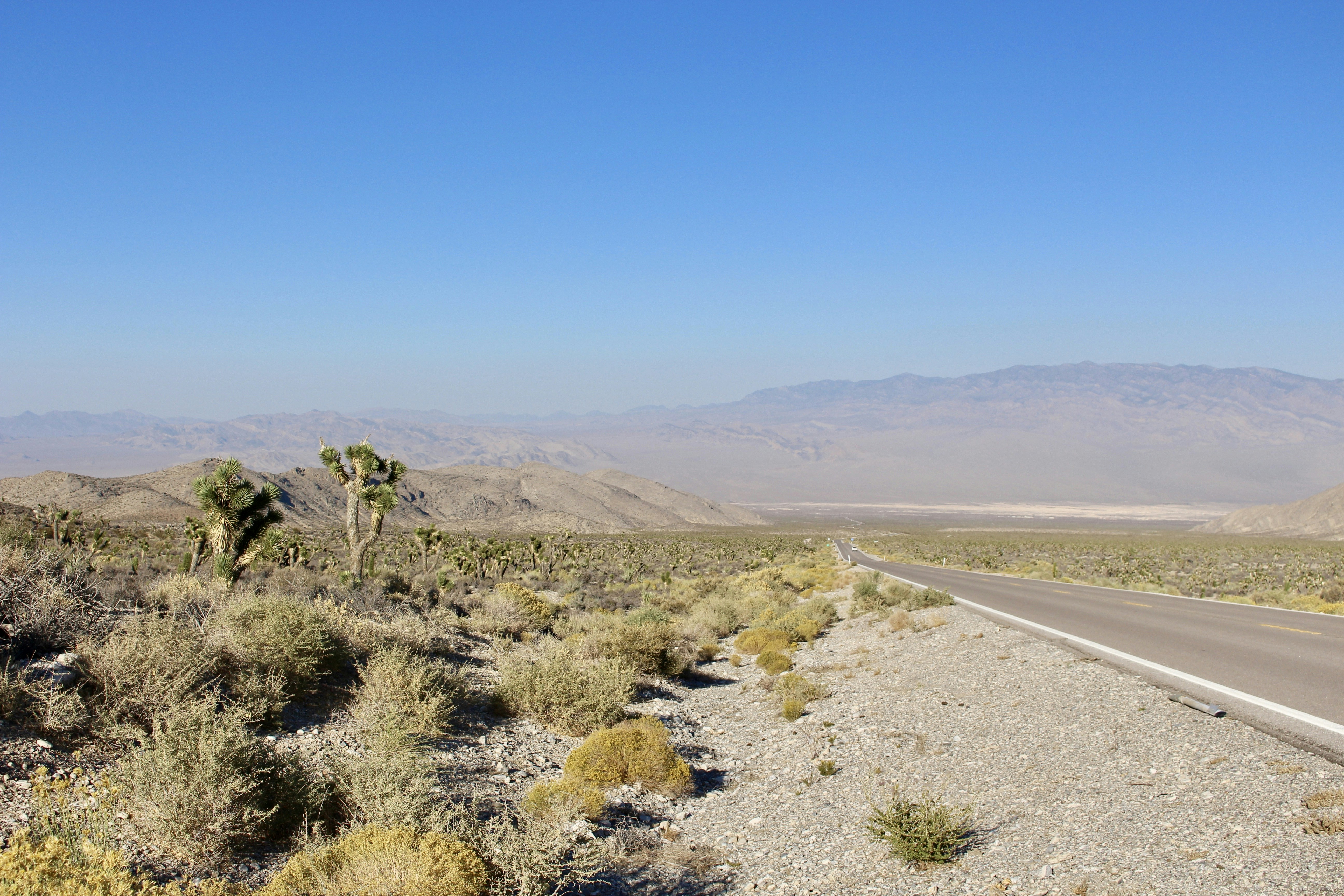 Photo by oncemorewithsinging