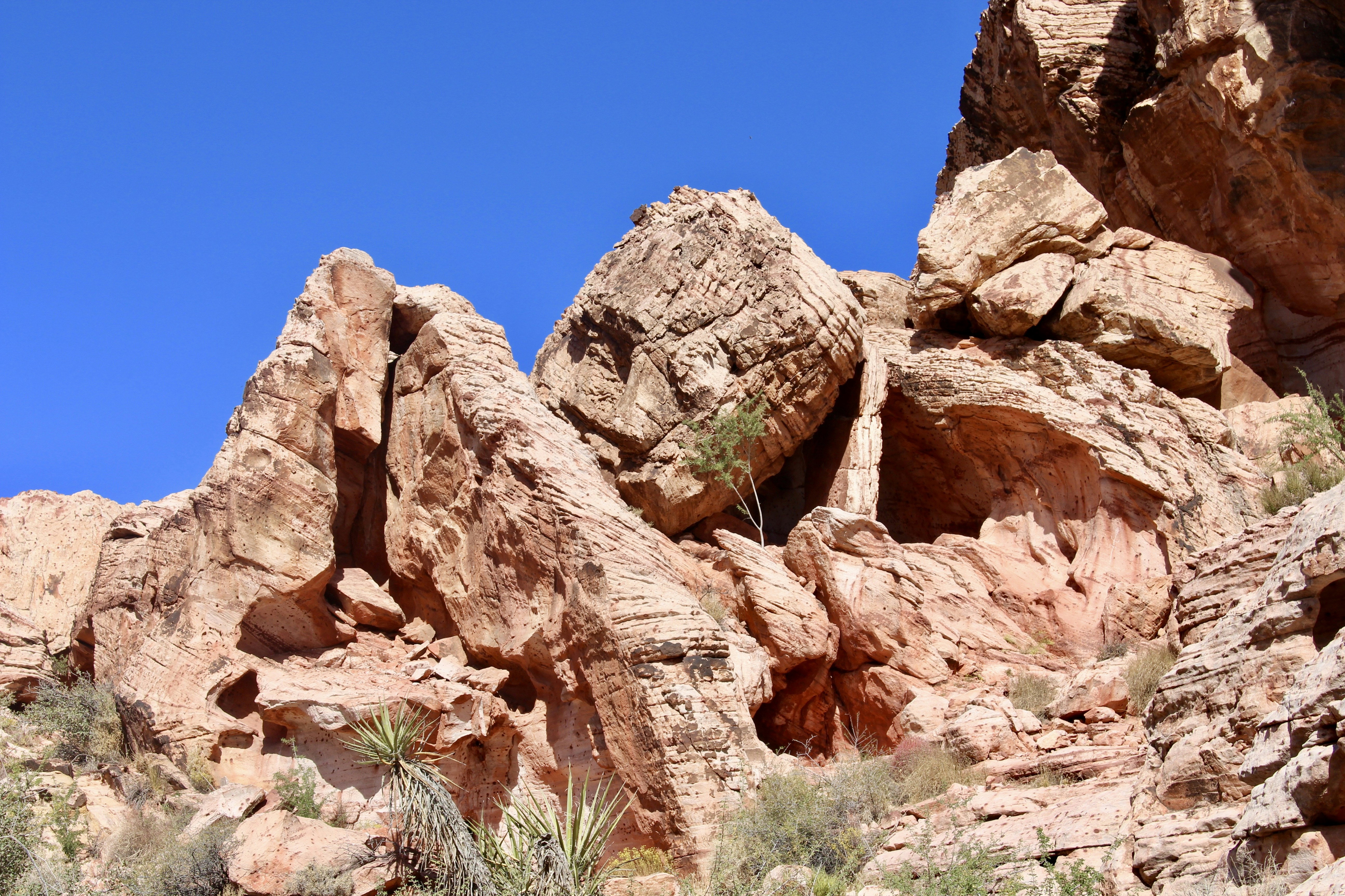 Photo by oncemorewithsinging