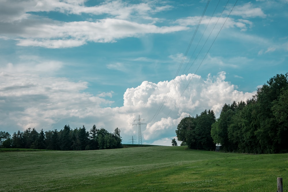 green trees under white and blue sky at daytime