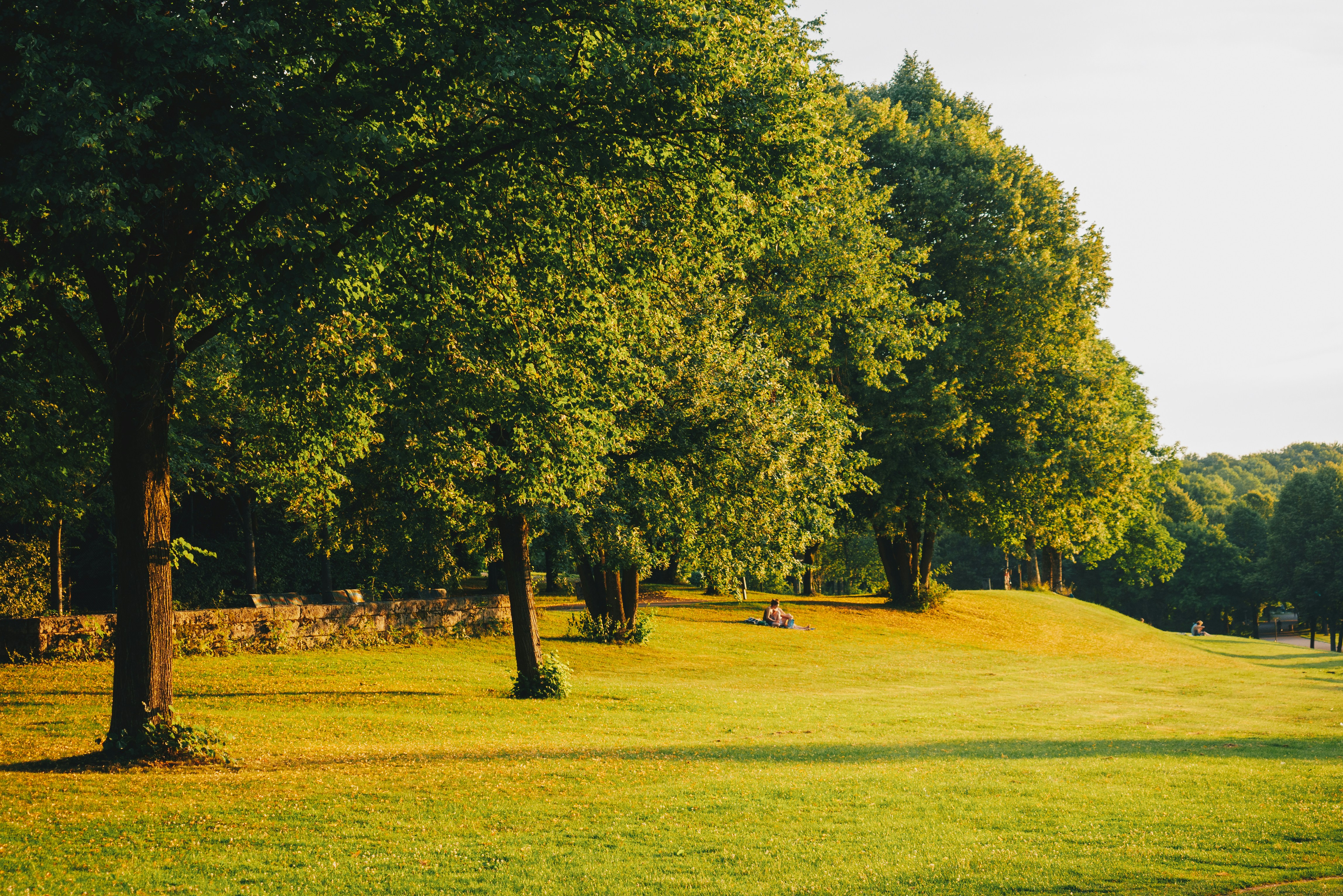 Photo by dermanuskript