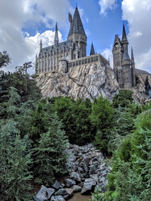 architectural photography of gray castle