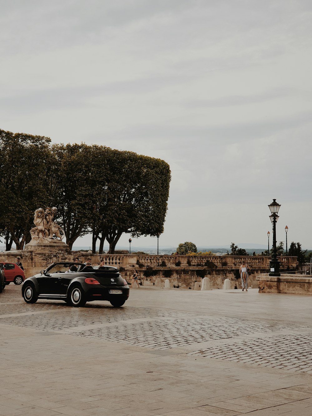 black car parked near tree