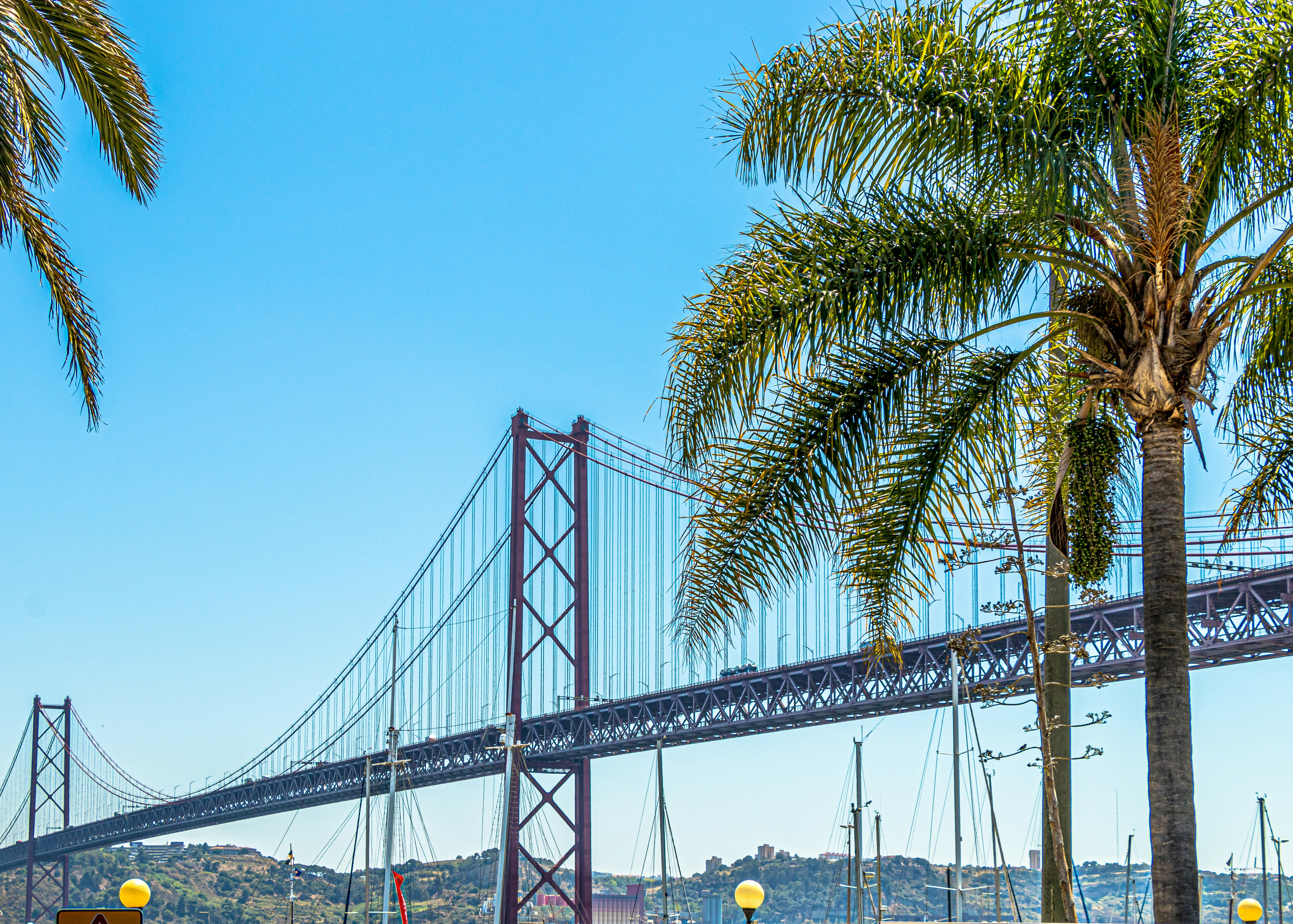 Gray bridge near tree photo – Free Blue Image on Unsplash