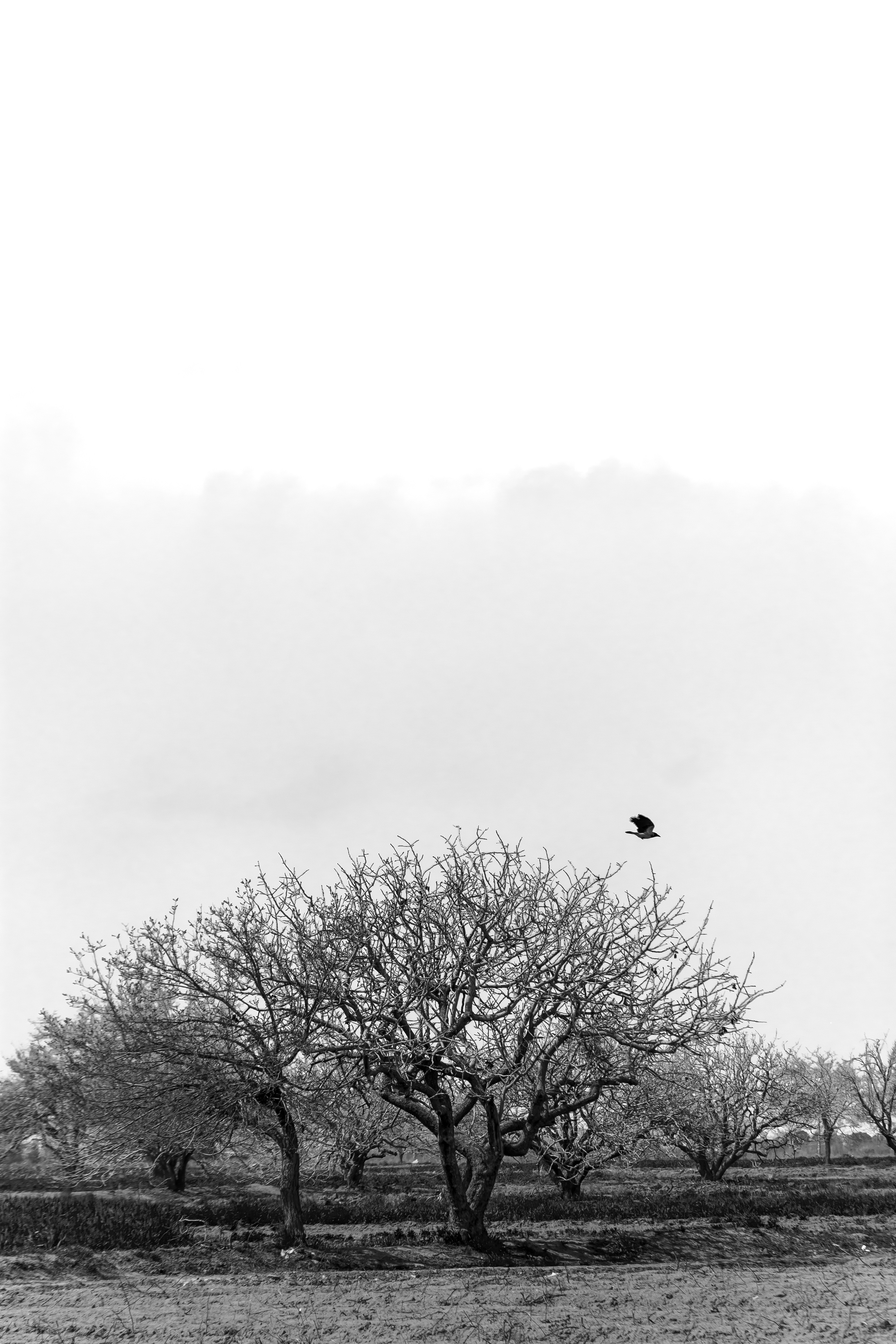 Photo by ardalanhamedani