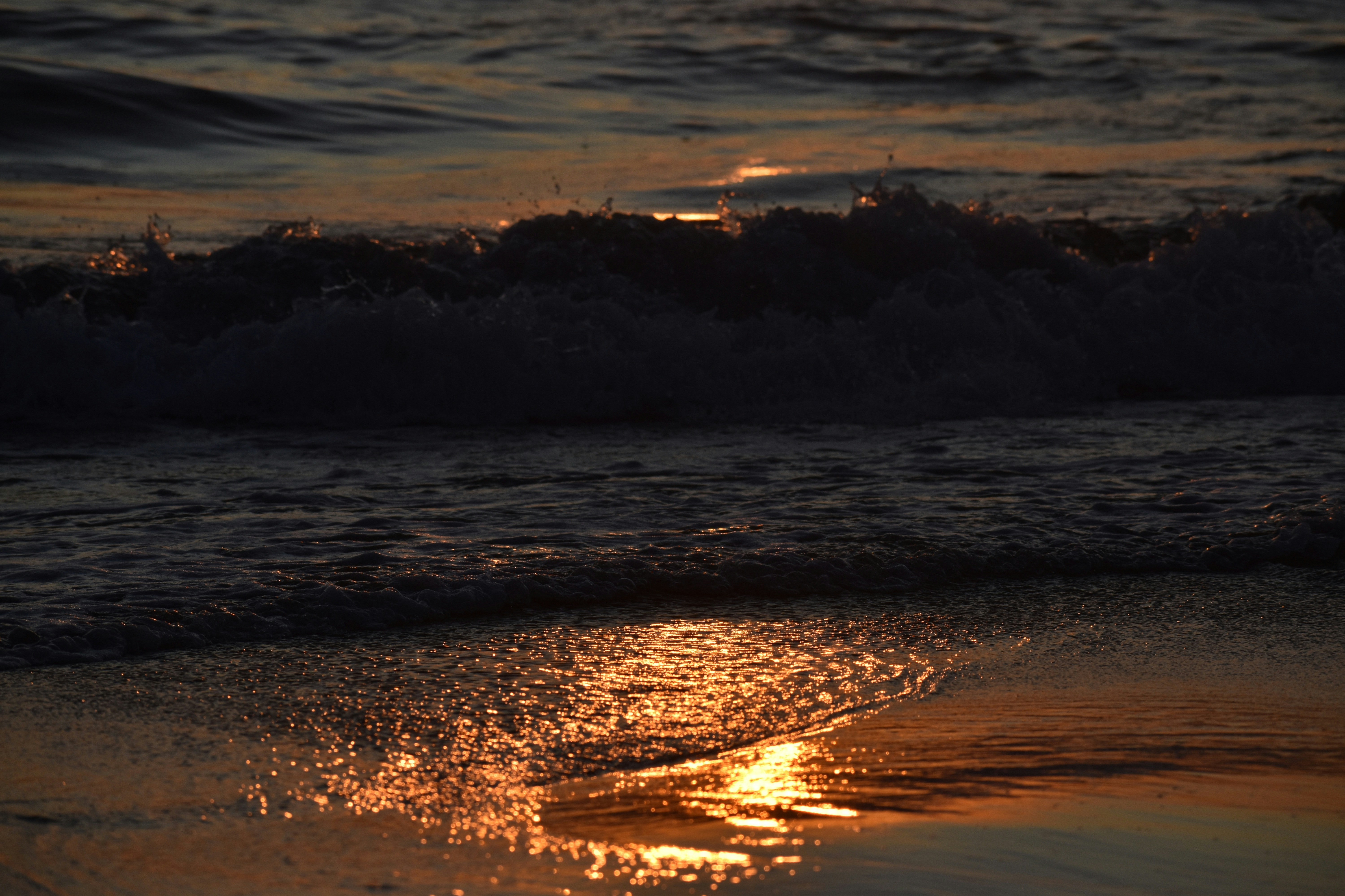 Photo by pictures102