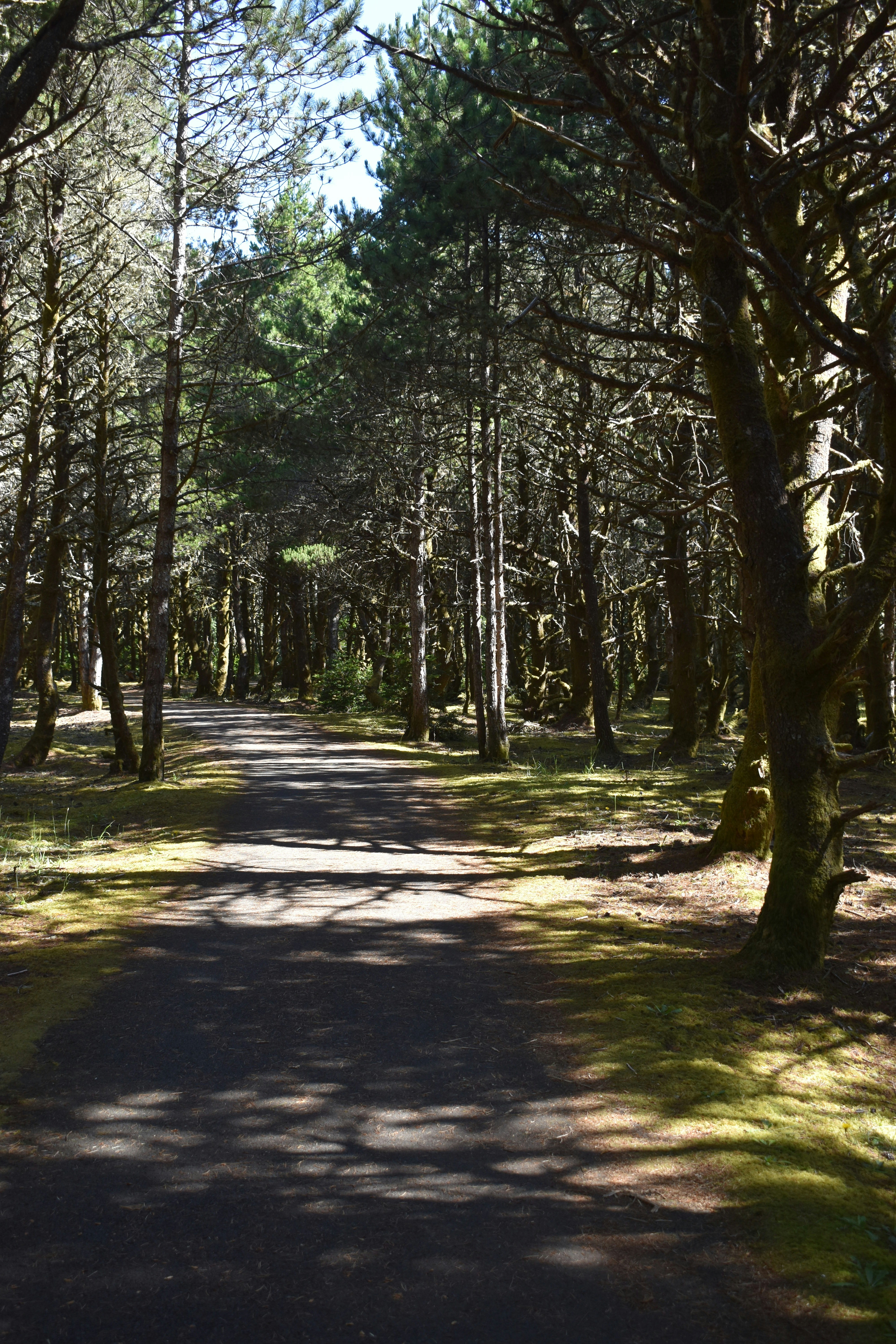 Photo by pictures102