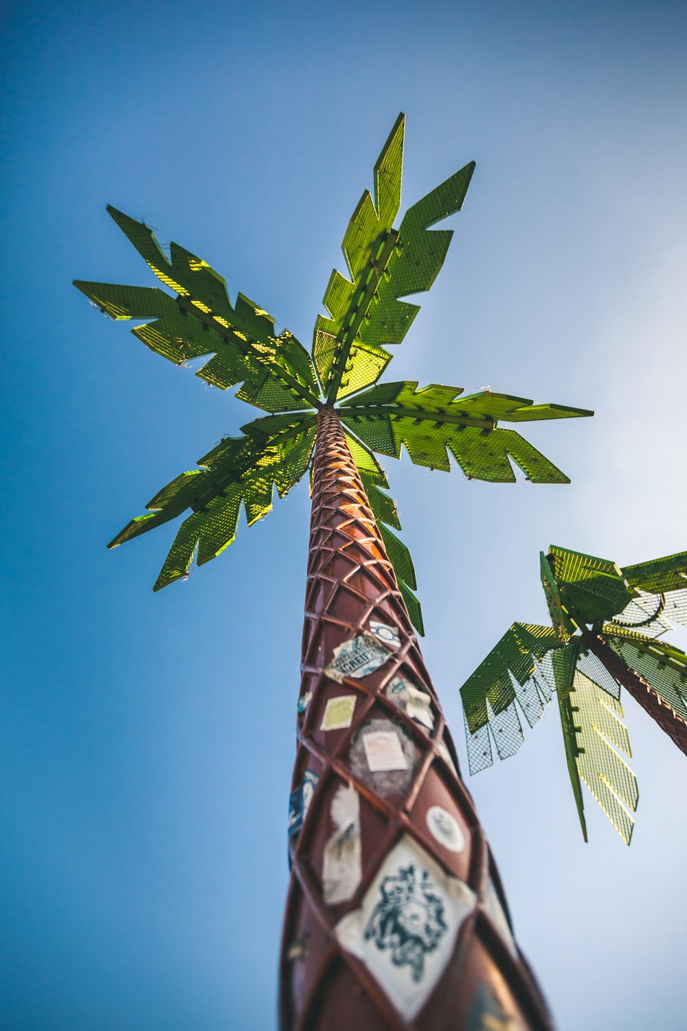 green-and-brown decorative palm trees