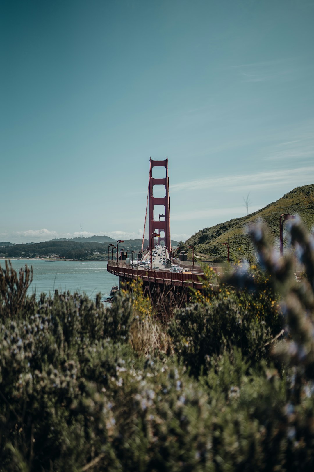 architectural photography of brown bridge